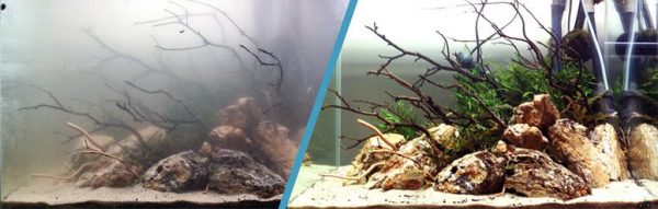 Почему вода в аквариуме грязная и мутная: почему быстро мутнеет, как избавиться