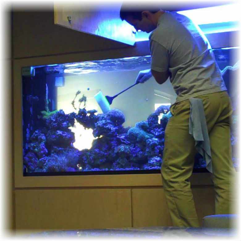 как чистить аквариум в домашних условиях