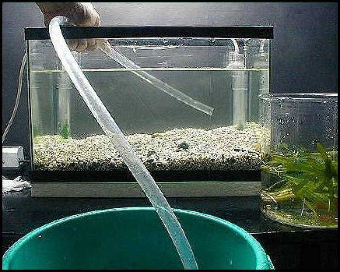 Отстаиваем аквариумную воду