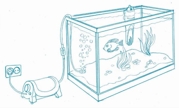 Как установить фильтр в аквариум