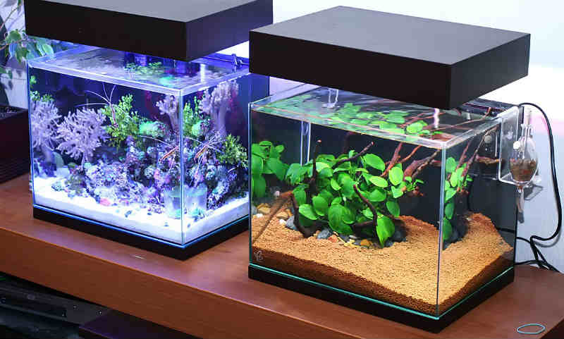 нано аквариум