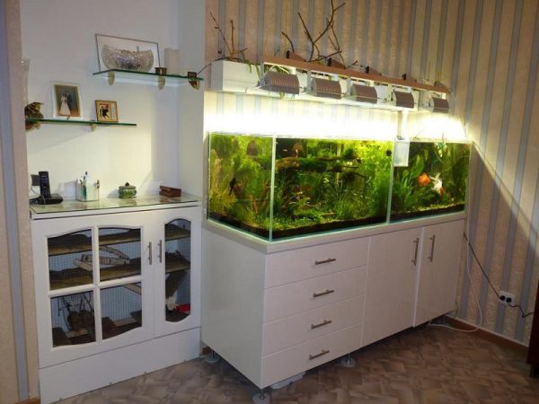 Блог аквариумиста Аква-Ас. Комплектация аквариума на 150 литров