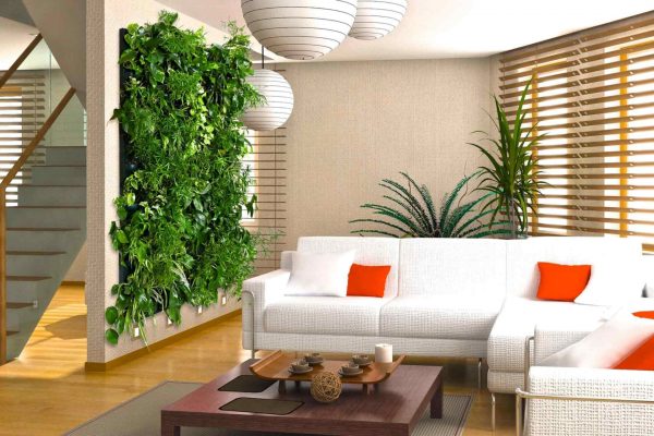 green-walls-in-the-interior-03